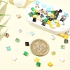 80Pcs 10 Styles 2-Hole Glass Seed Beads SEED-YW0002-94-4