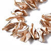 Natural Trochid Shell/Trochus Shell Beads Strands SSHEL-S266-012-3