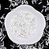 Glass Round Bugle Beads SEED-XCP0001-47I-2