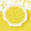 Baking Paint Glass Seed Beads SEED-T006-03C-1