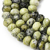 Natural Yellow Turquoise(Jasper) Beads Strands G-B179-A02-6x8mm-4