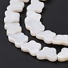 Natural Freshwater Shell Beads Strands SHEL-H002-02E-5