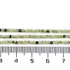 Natural Peridot Beads Strands G-G139-A03-01-5