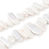 Electroplated Shell Pearl Beads Strands BSHE-C007-B01-01-1