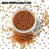 60G Glass Seed Beads SEED-YW0002-84C-1