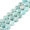 Natural Amazonite Beads Strands G-N342-18-1