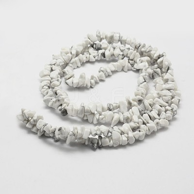 Natural Howlite Beads Strand G-F328-05-1