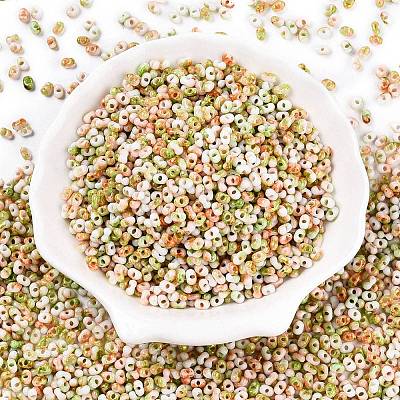 Two Tone Baking Paint Glass Seed Beads SEED-C003-01J-1