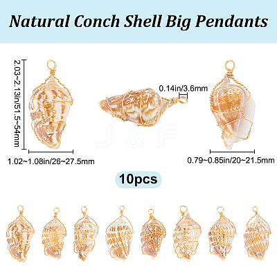 10Pcs Natural Conch Shell Big Pendants FIND-BBC0003-11-1