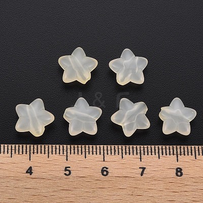 Transparent Acrylic Beads LS-MACR-S373-26E-11-1