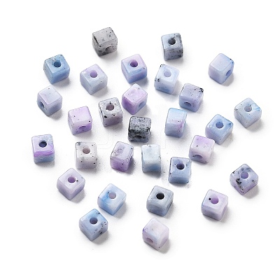 Transparent Acrylic Beads OACR-H044-04A-05-1
