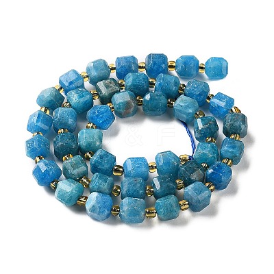 Natural Apatite Beads Strands GG-CBABD99-06-1