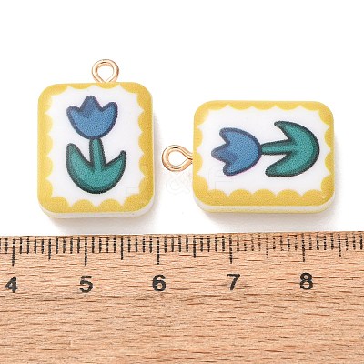 Printed Alloy with Acrylic Pendants AL-CBAE25B-02C-G-1