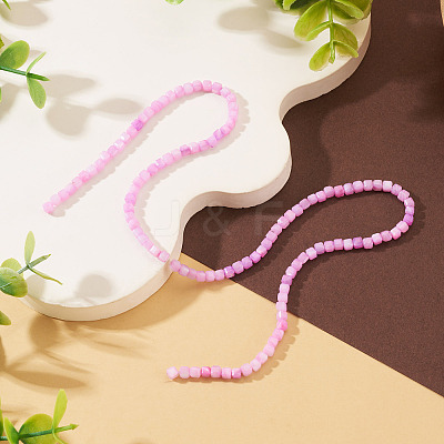 1 Strand Natural Freshwater Shell Dyed Beads Strands SHEL-TA0001-44B-1