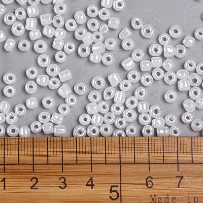 (Repacking Service Available) Glass Seed Beads SEED-C020-4mm-141-1