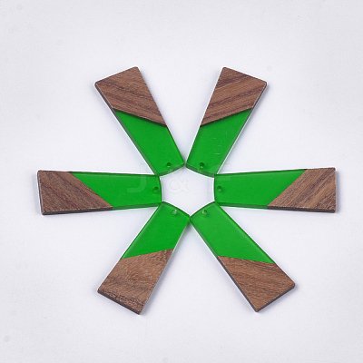 Resin & Walnut Wood Pendants X-RESI-S358-83E-1