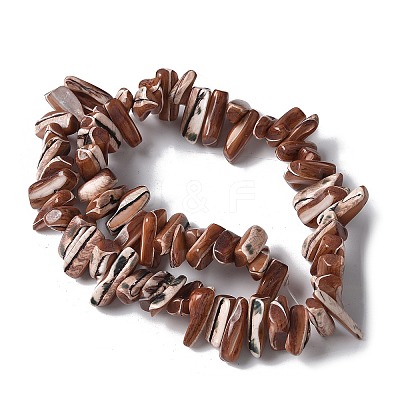 Dyed Natural Trochus Shell Beads Strands SSHEL-C013-09B-1