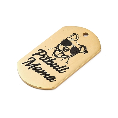 201 Stainless Steel Pendants STAS-R002-02G-04-1