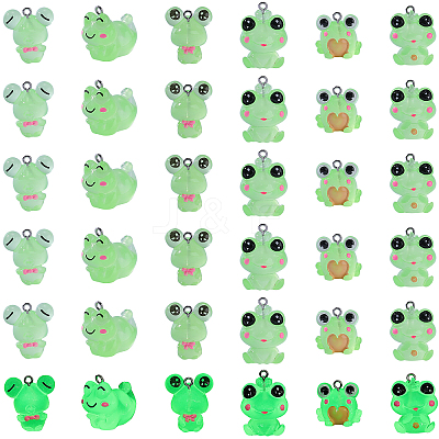 36Pcs 6 Styles Luminous Frog Resin Pendants RESI-SZ0003-50-1
