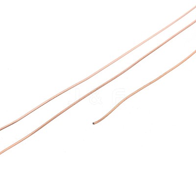 10M 304 Stainless Steel Wire TWIR-N005-0.3mm-RG-1
