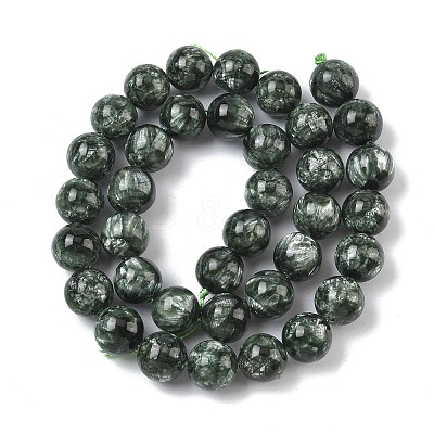 Natural Seraphinite Beads Strands G-C270-O01-11-1
