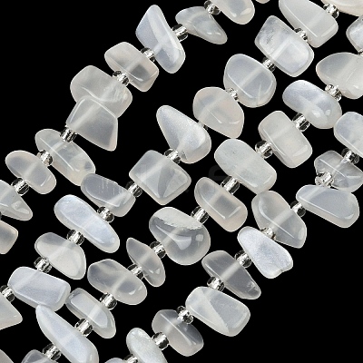 Natural White Moonstone Beads Strands G-L657-E02-01-1