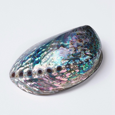 Natural Abalone Shell/Paua ShellDecoration SSHEL-K024-01B-1
