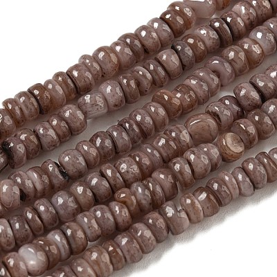 Dyed Natural Freshwater Shell Beads Strands BSHE-G039-07I-1