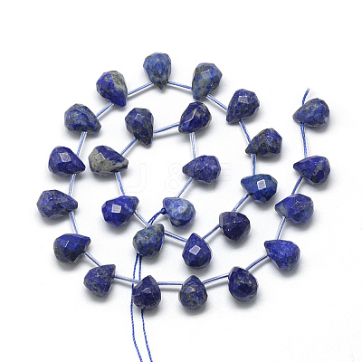 Natural Lapis Lazuli Beads Strands G-R435-15D-1