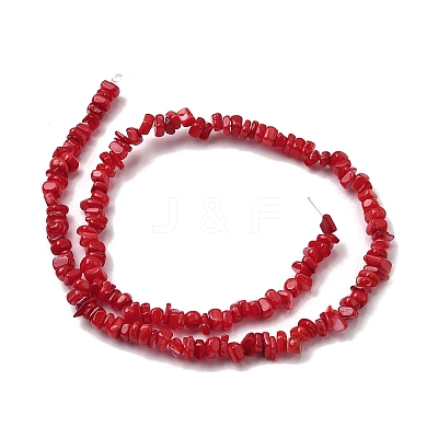 Natural Freshwater Shell Beads SHEL-B003-01C-1