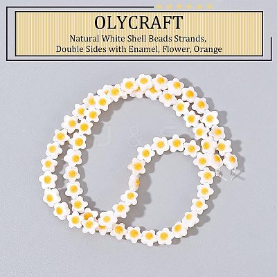 Natural White Shell Beads Strands SHEL-OC0001-02-1
