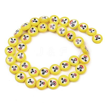 Handmade Lampwork Beads Strands LAMP-Z021-02-1