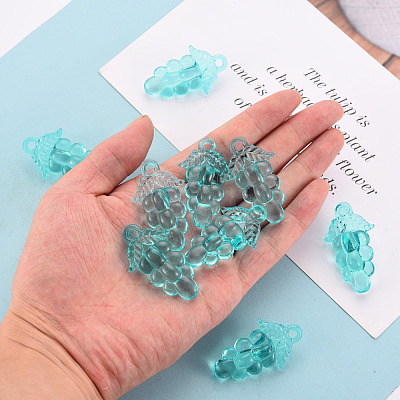 Autumn Theme Transparent Acrylic Beads TACR-S154-60B-946-1