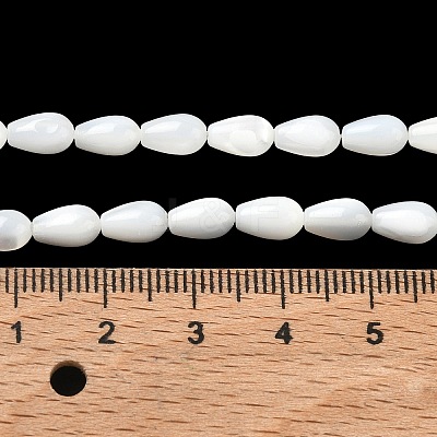 Natural White Shell Beads Strands SH-CBAF49A-03-1