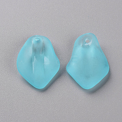 Transparent Frosted Acrylic Pendants MACR-S371-03A-755-1