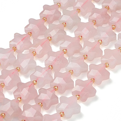 Natural Rose Quartz Beads Strands G-L657-A06-01-1