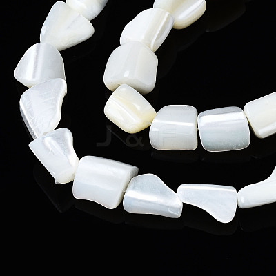 Natural Trochid Shell/Trochus Shell Beads Strands SSHEL-S266-006-1