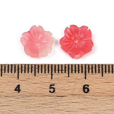 Shell Powder Beads LS-X-BSHE-L038-01B-1