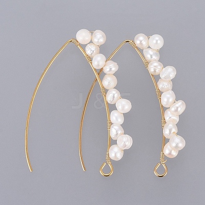 PVD Vacuum Plating 304 Stainless Steel Earring Hooks EJEW-JE03759-1