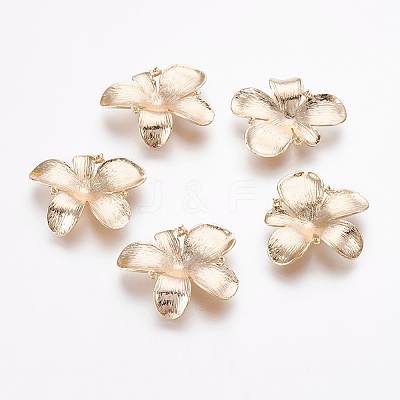 Brass Pendant Rhinestone Settings LS-KK-F765-07G-1