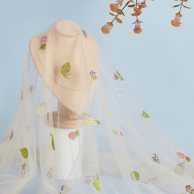 Fruit Polyester Embroidery Mesh Fabric KK-WH0558-10B-1