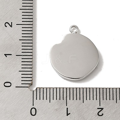 304 Stainless Steel Pendants STAS-B074-08P-06-1