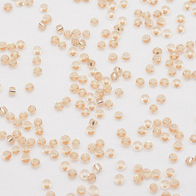 8/0 Transparent Glass Round Seed Beads SEED-J010-F8-L36-1