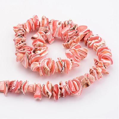 Natural Shell Bead Strands BSHE-P010-03-1
