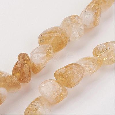 Natural Gemstone Nugget Citrine Bead Strands G-F156-01-1