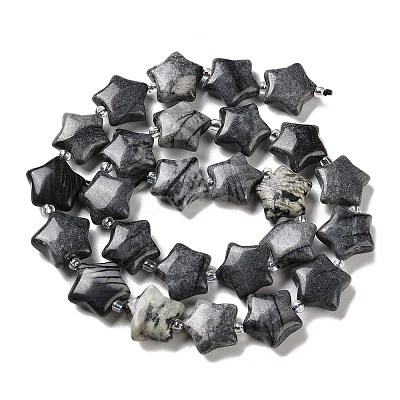 Natural Black Silk Stone/Netstone Beads Strands G-NH0005-009-1