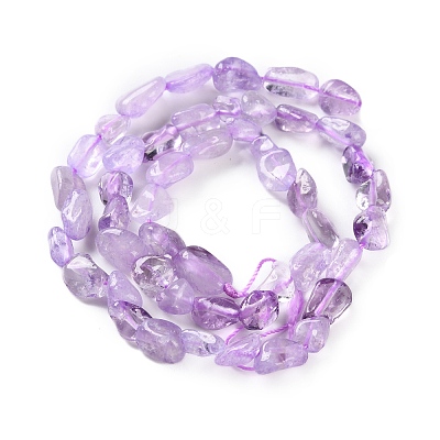 Natural Amethyst(Dyed & Heated) Beads Strands G-P497-01C-47-1