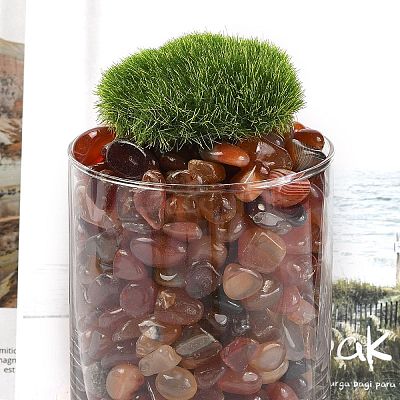 Dyed & Heated Natural Agate Beads G-J402-03A-01-1