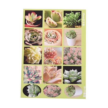 DIY Scrapbooking Succulent Plant Pattern Non-Adhesive Paper Stickers Collage Sheets for Clear Square or Oval Glass Tile Cabochon Pendants AJEW-L031-01-1