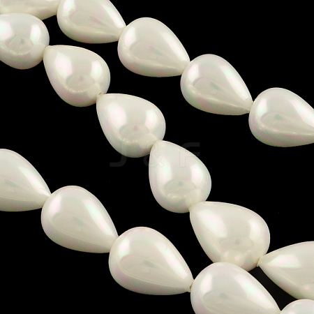 Teardrop Shell Pearl Bead Strands BSHE-R150-01-1